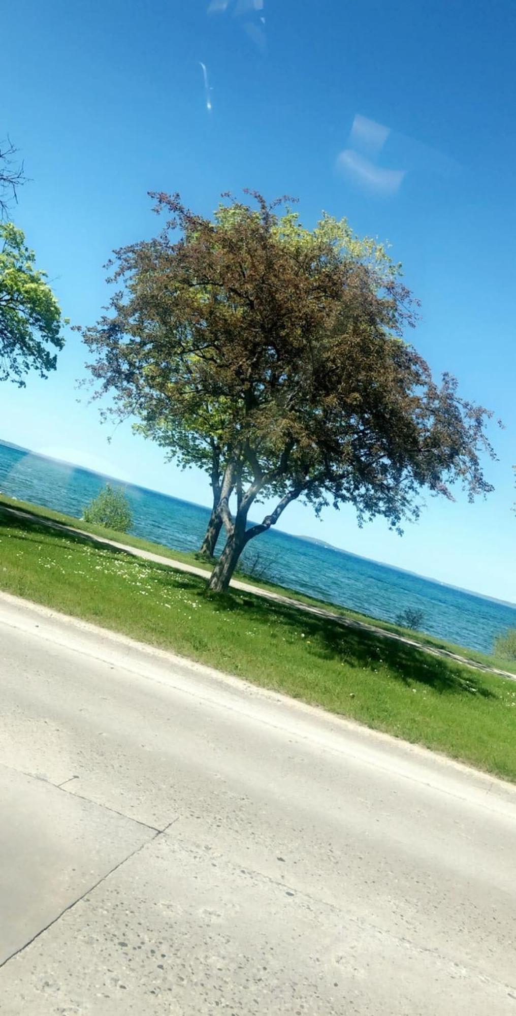 Downtown Traverse City Condo - Capri 209 Kültér fotó